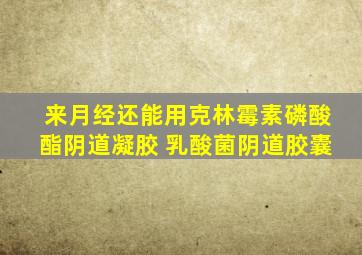 来月经还能用克林霉素磷酸酯阴道凝胶 乳酸菌阴道胶囊
